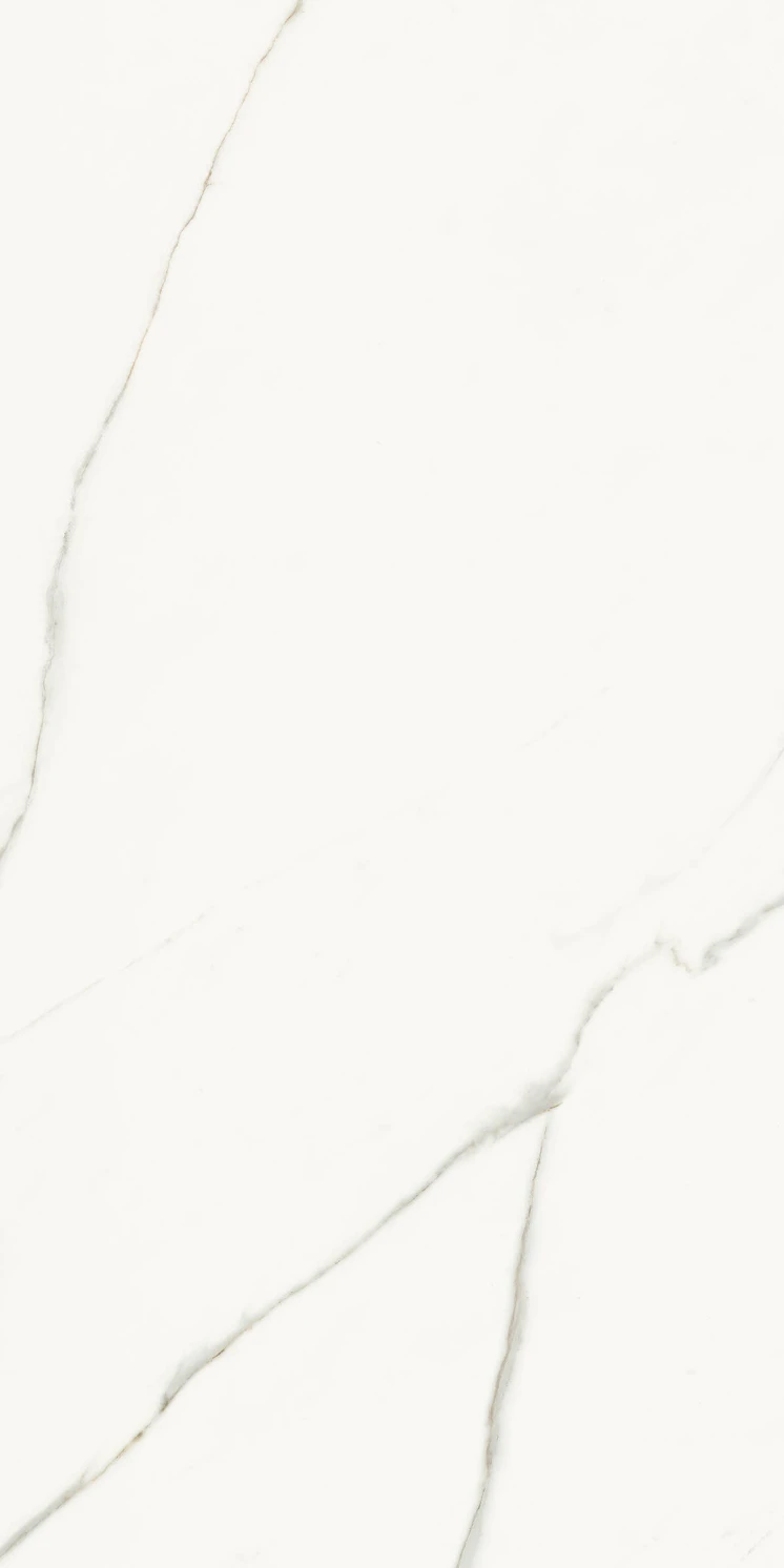 PŁYTKA GRESOWA AE EXT6 12 RM 60X120