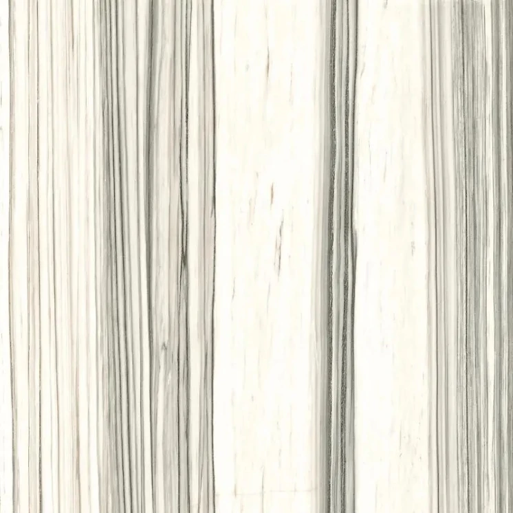 PŁYTKA GRESOWA AE ZEB6 120 LPM 120X120 