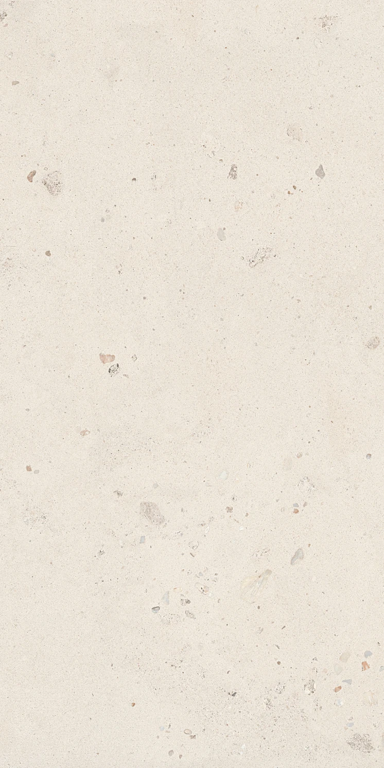 PŁYTKA GRESOWA SHELL6 12 60X120