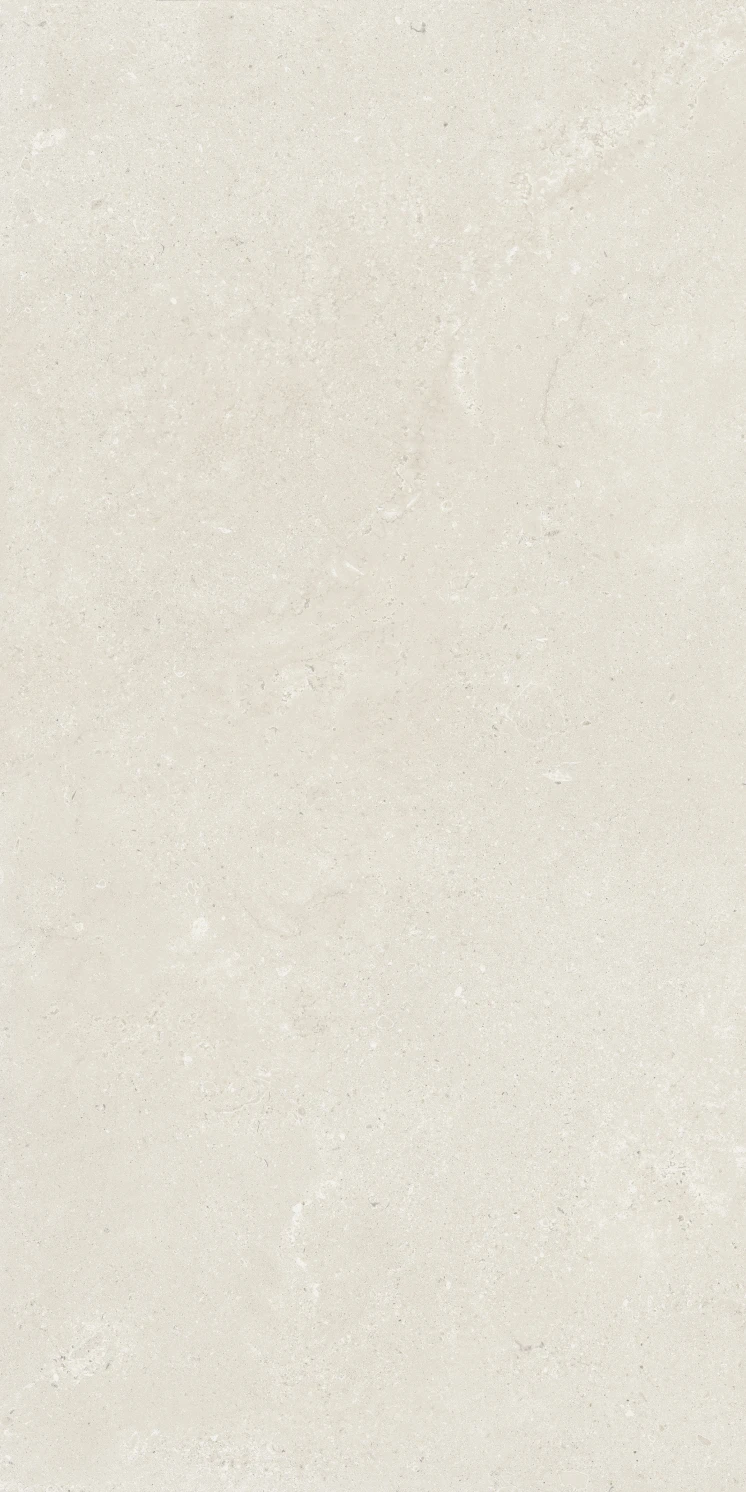 PŁYTKA GRESOWA CLOSER6 12W BIANCO NATURALE 60X120